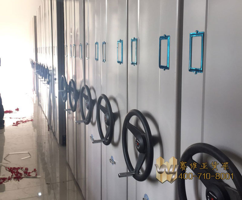 賽維亞手動(dòng)密集架成功案例工程