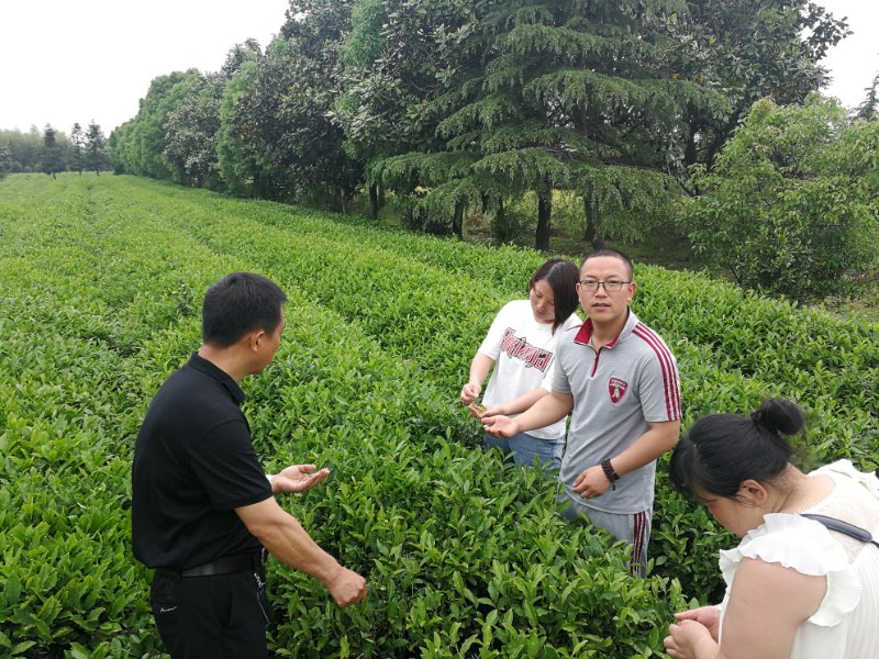 賽維亞無錫貨架廠