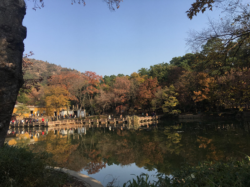 蘇州天平山,天平山楓葉,倉儲貨架